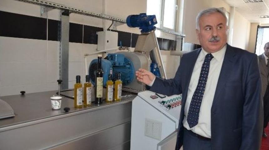 &Uuml;niversitede İsotlu Zeytinyağı &Uuml;retildi