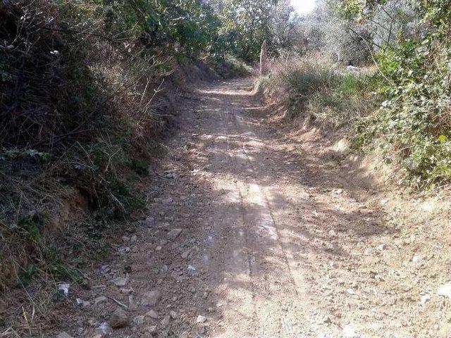 Mudanya Belediyesi Arazi Yollarına El Attı 1