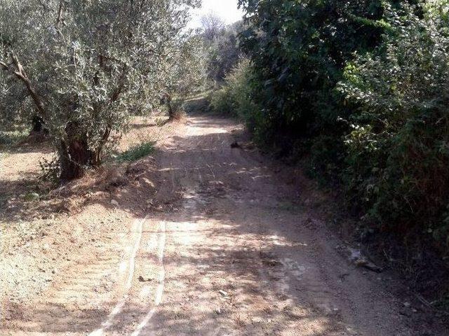 Mudanya Belediyesi Arazi Yollarına El Attı 2