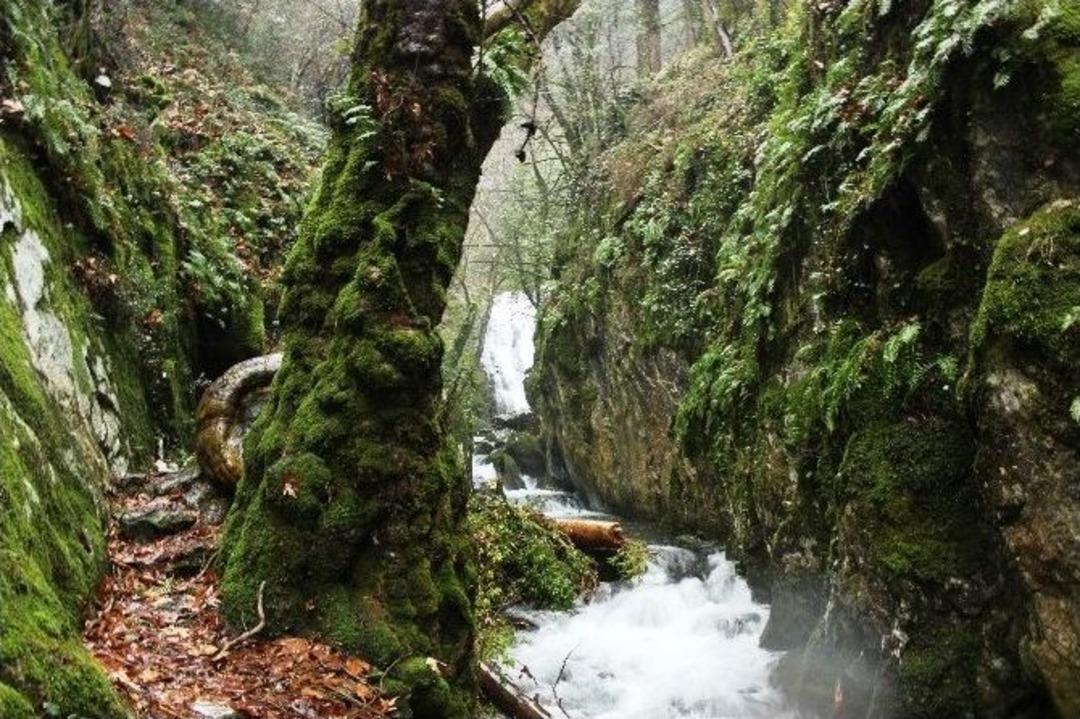 Kazdağlarında 4 Mevsim Birarada