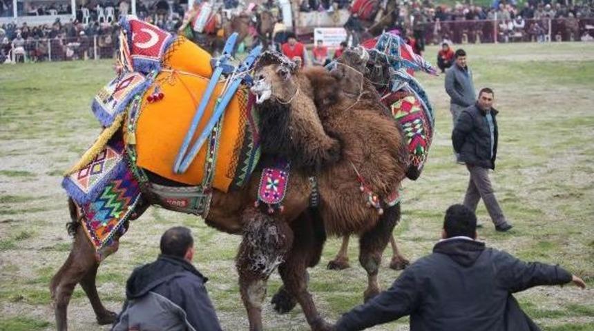 Deve G&uuml;reşi Sevenlerden Yasak Tepkisi
