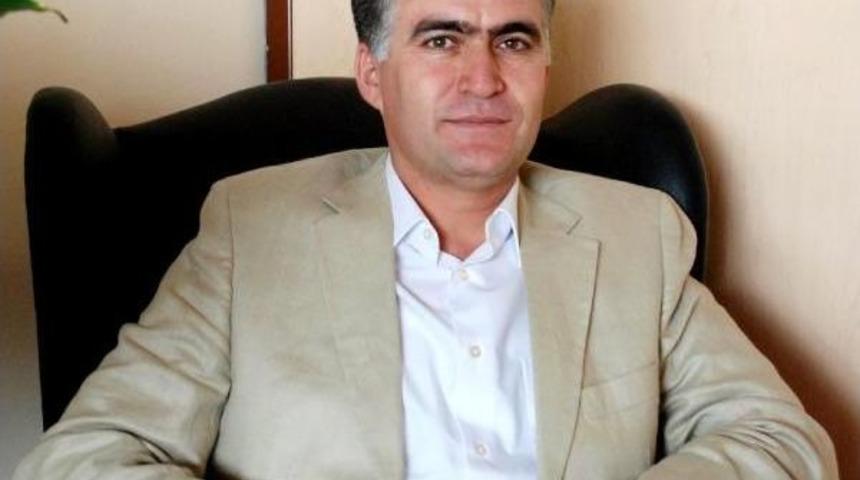 Koyunların Boyanması Nedeniyle 2 Bin Ton Y&uuml;n &Ccedil;&ouml;pe Gidiyor