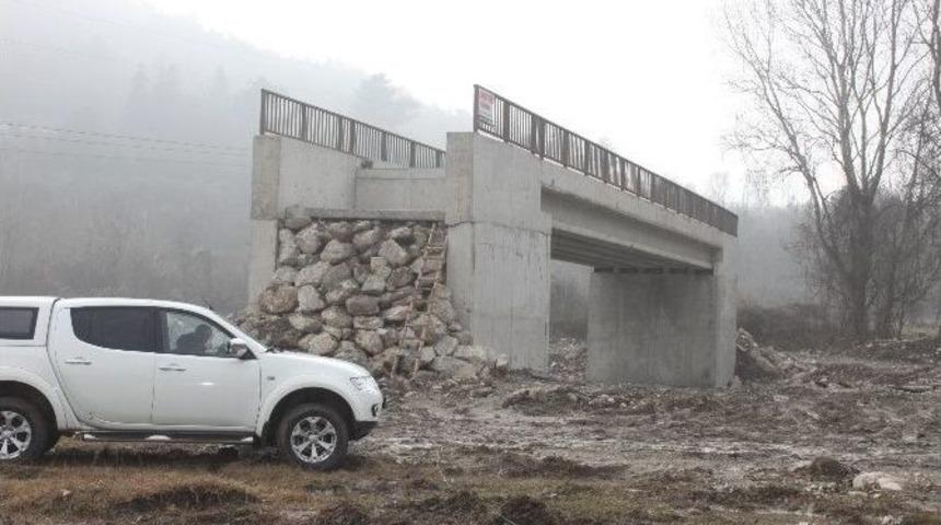 Cildikısık &Ouml;zlemini &Ccedil;ektiği K&ouml;pr&uuml;s&uuml;ne Kavuştu