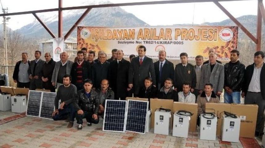 "ışıldayan Arılar" Projesi
