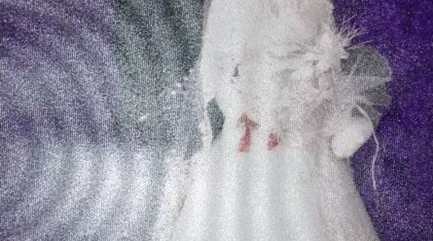 (özel Haber) 14 Yaşındaki Kızı Kaçırdı, 10 Yıl 10 Ay Hapis Cezası Aldı