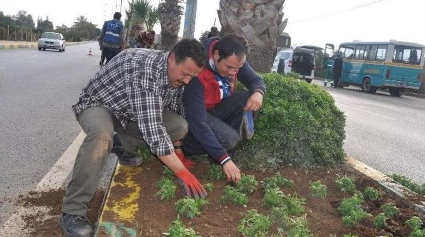 Menderes &Ccedil;i&ccedil;eklerle Donatıldı