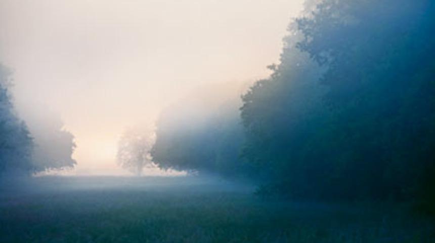 Yeniden dirilişin sırrı