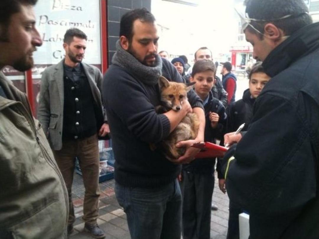 Hayvan Hastanesinde Yangın Paniği