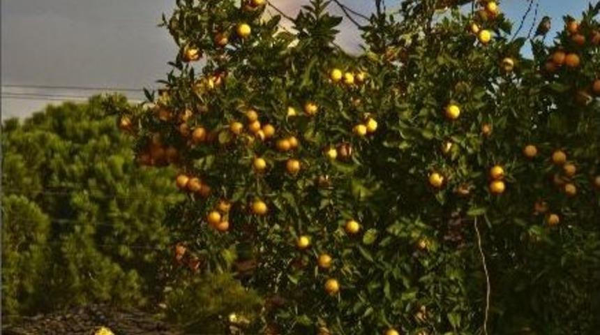 G&uuml;neş G&ouml;kkuşağı İle &ldquo;merhaba&rdquo; Dedi