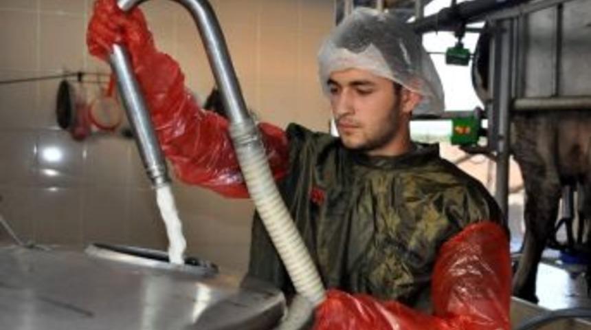 S&uuml;t &Uuml;retimi Arttı