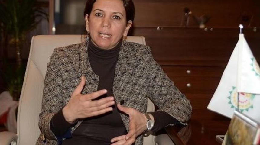 Hdp'li Irmak: &Ccedil;&ouml;z&uuml;m S&uuml;reci İki Ucu Keskin Bı&ccedil;ak Gibi