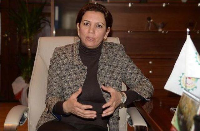 Hdp'li Irmak: Çözüm Süreci İki Ucu Keskin Bıçak Gibi