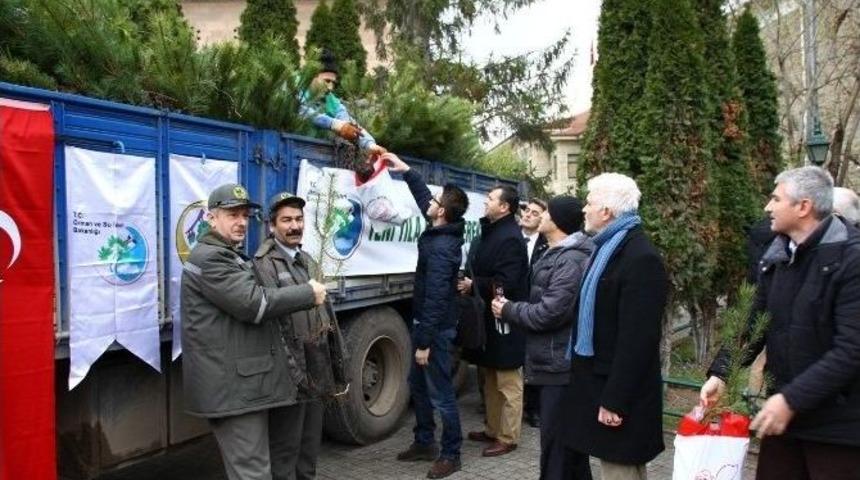 Eskişehir&rsquo;de Fidan Dağıtımı