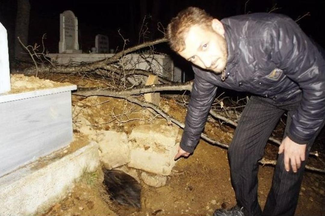 (&ouml;zel Haber) Ayı, Mezardan &Ccedil;ıkardığı Cesedi Ka&ccedil;ırdı