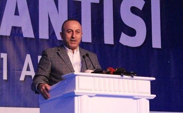 Dışişleri Bakanı Mevlüt Çavuşoğlu: 