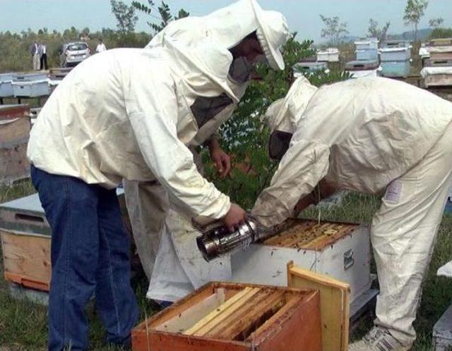 Arı S&uuml;t&uuml;n&uuml;n Kilosu 3-5 Bin Lira 3