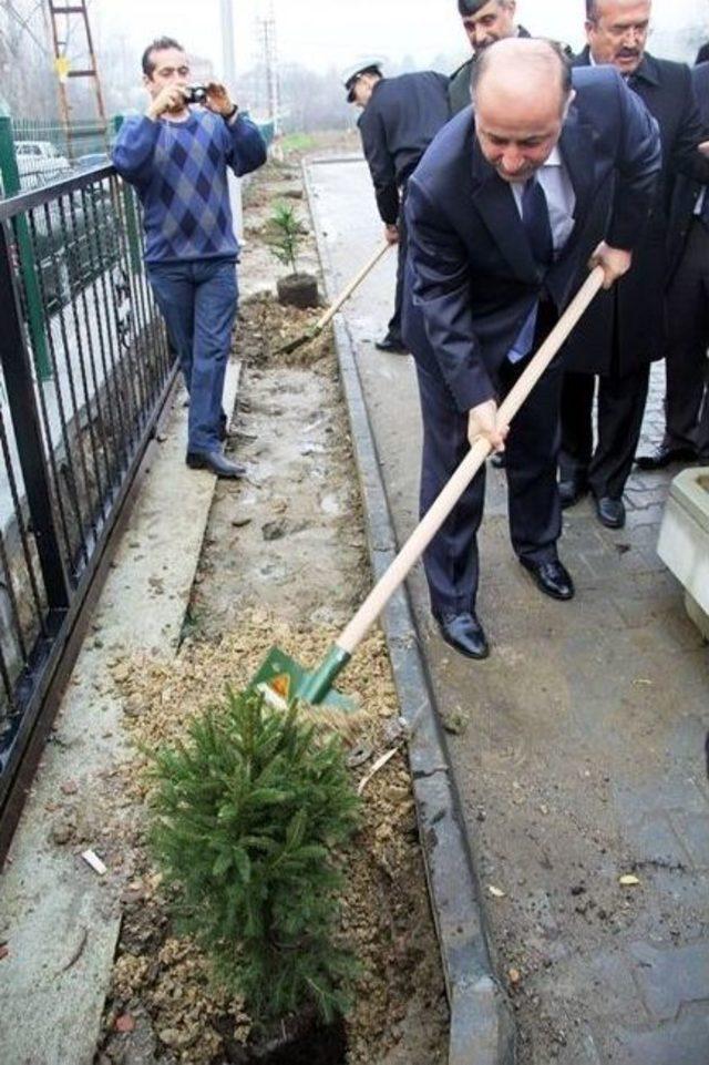 Ağdacı İlkokulu&rsquo;nda Fidan Dikimi Yapıldı 1