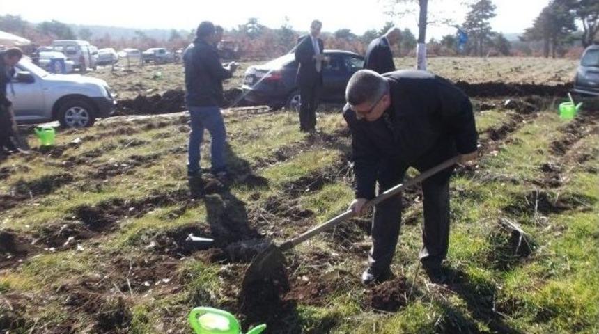 Gelir Getirici Fidanlar Toprakla Buluştu