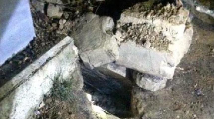 Kastamonu'da Mezar A&ccedil;an Ayı, Ceseti Ka&ccedil;ırdı