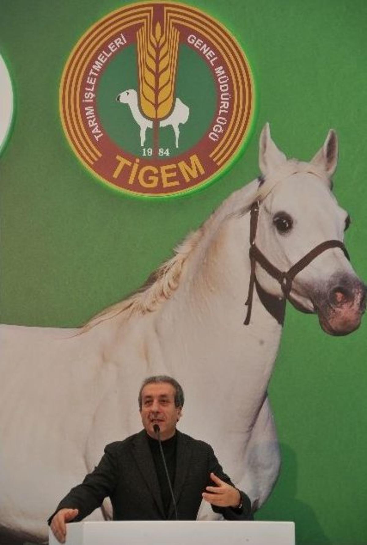 Engelleri Atla Aşacaklar