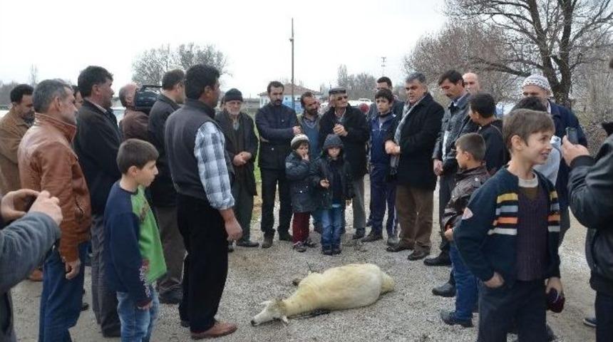 Ereğli&rsquo;de Yol Sevinci