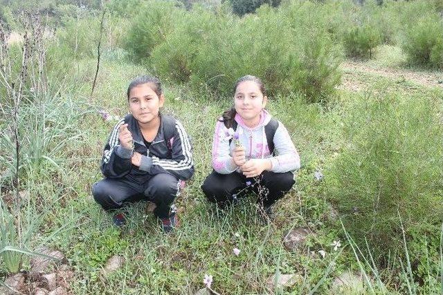 Antalya&rsquo;da Portakal Ağa&ccedil;ları &Ccedil;i&ccedil;ek A&ccedil;tı 1