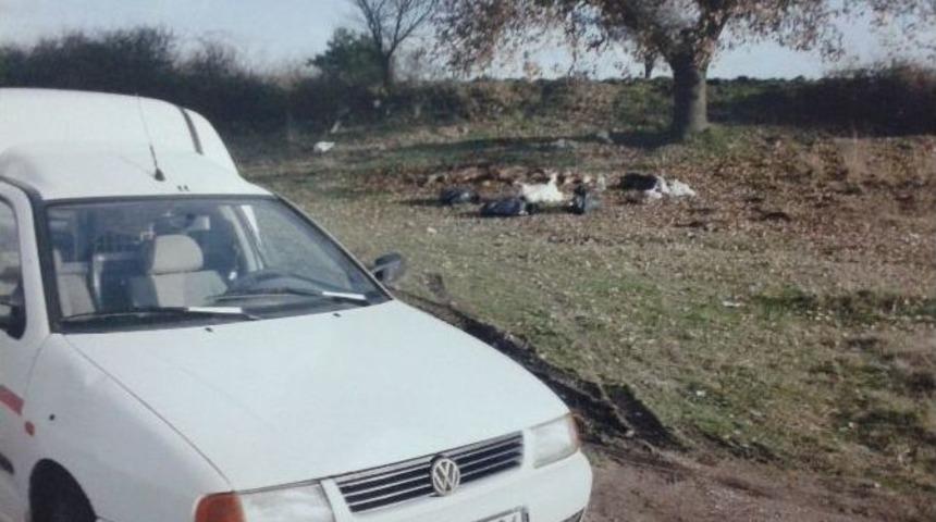 Jandarmadan Hayvan Hırsızlığı Operasyonu