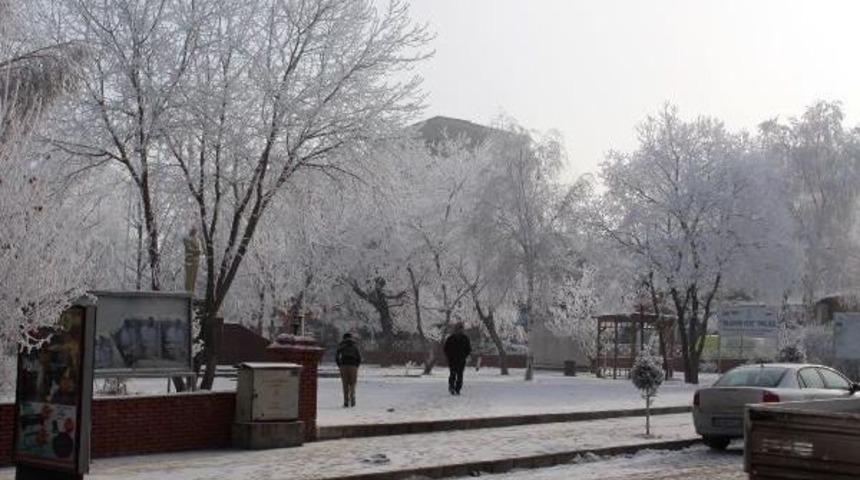 Ardahan Dondu; Eksi 15