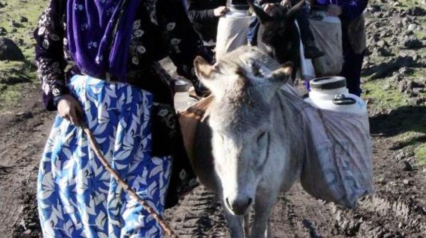 Eşek Sırtında İ&ccedil;me Suyu Taşıyorlar