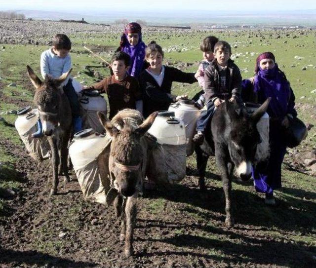 Eşek Sırtında İçme Suyu Taşıyorlar