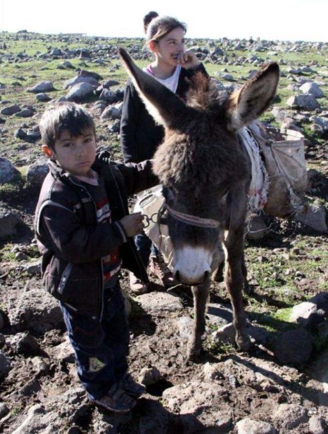 Eşek Sırtında İçme Suyu Taşıyorlar