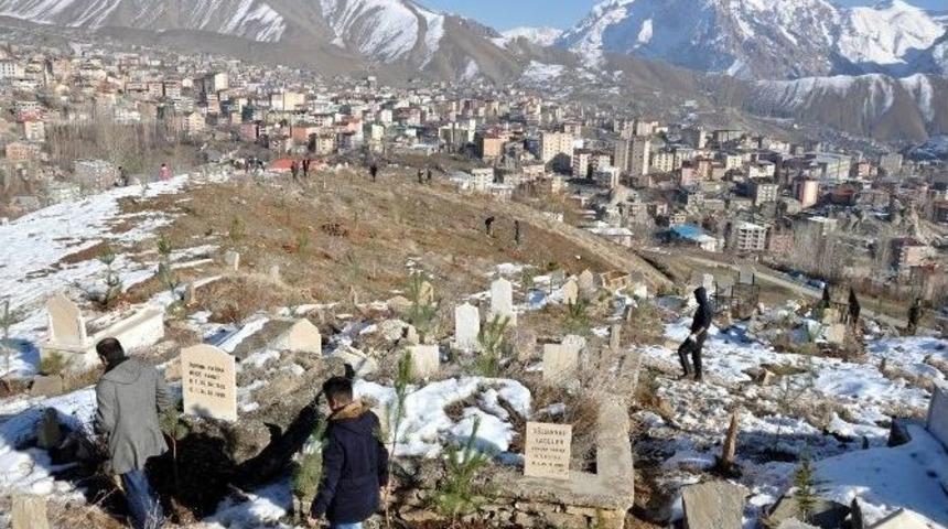 Hakkari&rsquo;deki Mezarlıklar Yeşillendiriliyor