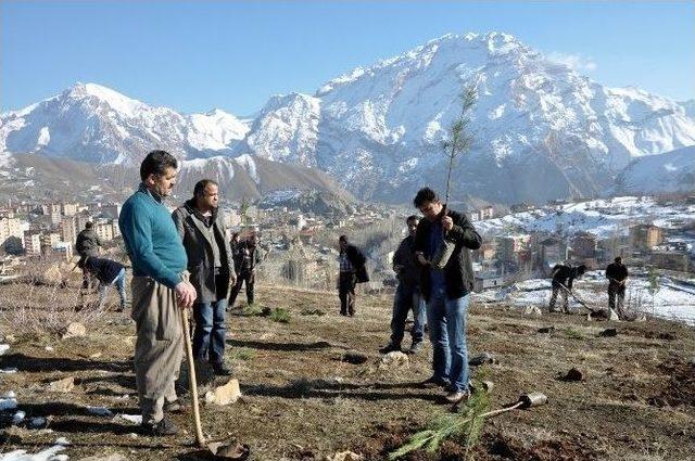 Hakkari’deki Mezarlıklar Yeşillendiriliyor