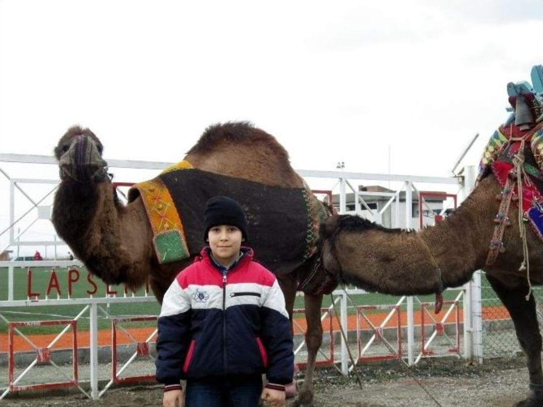 Develer Kıyasıya G&uuml;reşti