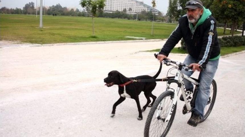 K&ouml;peğine Eziyet Değil Antrenman Yaptırmış