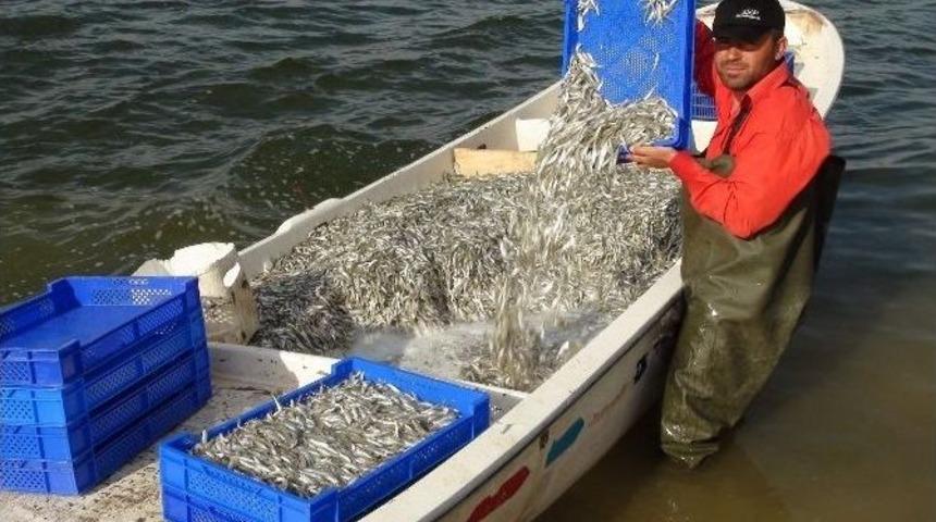 Anadolu&rsquo;da Balık &Uuml;retimi Arttı