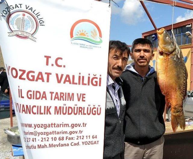 Anadolu’da Balık Üretimi Arttı