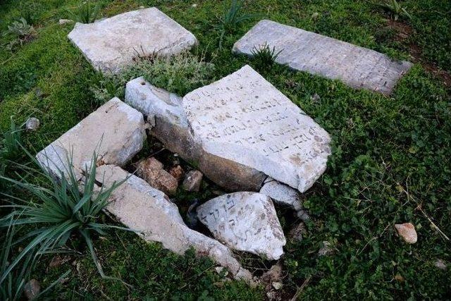 Yahudi Mezarlığında Koyunlar Otluyor 3