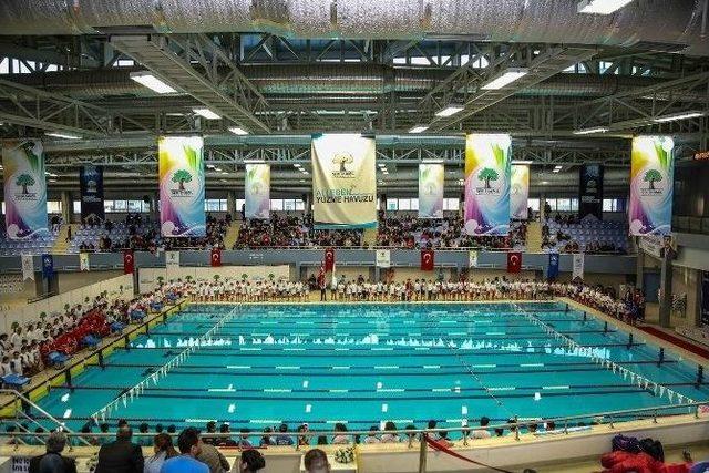 Şehitkamil’de 3. Geleneksel Kurtuluş Kupası Yüzme Yarışları