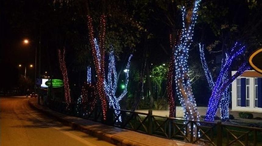 Muratpaşa Işıl Işıl Parlıyor