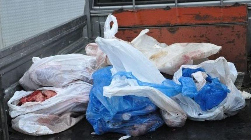 Dağ Ke&ccedil;isi Vuran 5 Kişiye 24 Bin Lira Ceza Kesildi