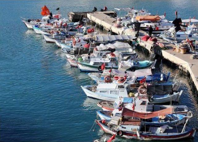 Antalya da Kuzey R&uuml;zgarı &Uuml;ş&uuml;tt&uuml; 2