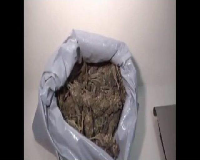 Narkotik Timleri 11 G&uuml;nde 203 Ş&uuml;pheliyi Yakaladı 1