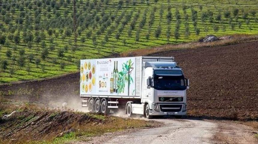 Gezici Fabrikayla Zeytinin Gen Haritası &Ccedil;ıkartılıyor