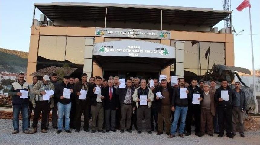 Arıcılara Vergi Şoku