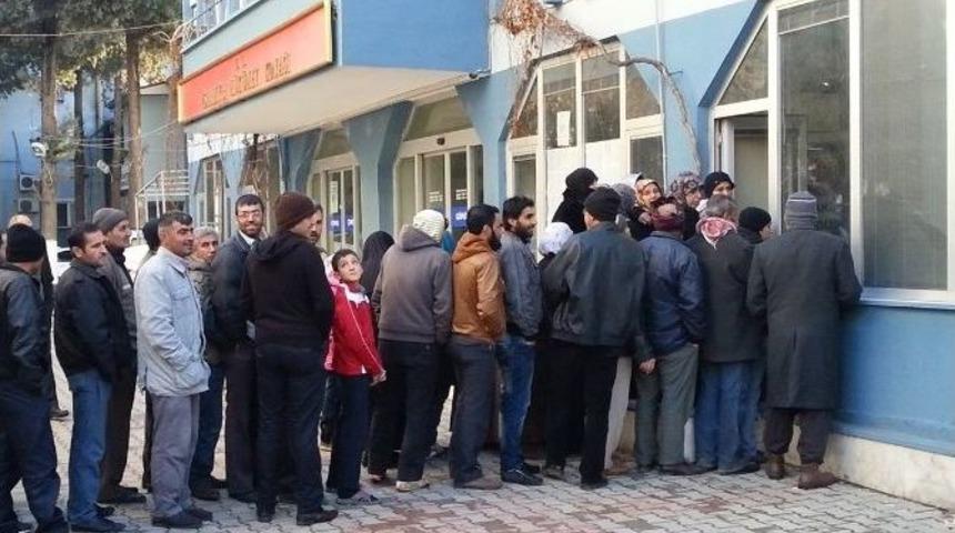 İslahiye Kaymakamlığı Suriyeli Vatandaşlara K&ouml;m&uuml;r Dağıttı