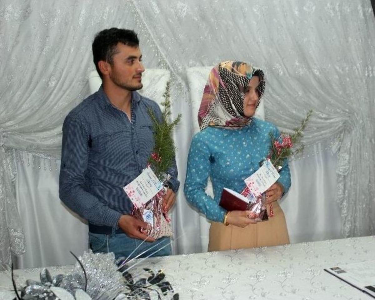 Evlenen &Ccedil;iftlere Plaket Yerine Orman Fidanı