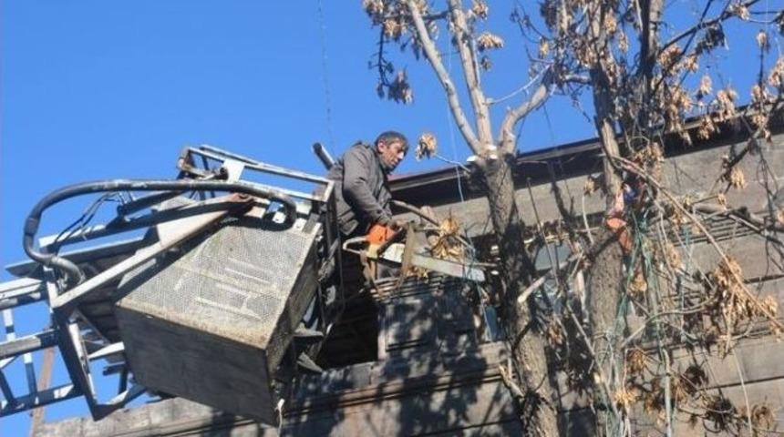 Kars, Yeni Yıla Işıl Işıl Girecek