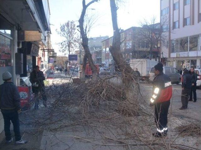 Kars, Yeni Yıla Işıl Işıl Girecek 2