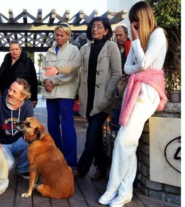 Bodrum da Hayvanseverlere B&uuml;y&uuml;k Şok 1